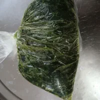 سبزی خورشت|خوردنی و آشامیدنی|شیراز, مسلم|دیوار