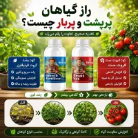کود ارگانیک هیومیک اسید و محرک رشد