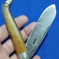 چاقو دسته شاخ