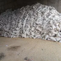 کاه عدس ۵۰ تن داخل گونی