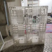 پالت درحد نو