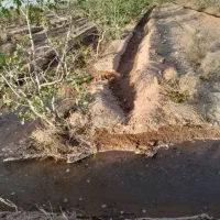 فروش زمین کشاورزی|فروش زمین و ملک کلنگی|نگار, |دیوار