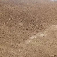 کود گاوی خشک ممتاز|خدمات باغبانی و درختکاری|نجف‌آباد, حومه نجف آباد|دیوار
