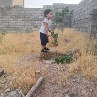 چهار-دیواری-تجاری-و-مسکونی
