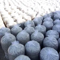 تفاله چغندر|عمده‌فروشی|چهاربرج, |دیوار