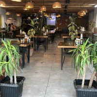 سالنکار آقا