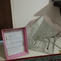 قفس|لوازم جانبی حیوانات|هشتگرد, شهرک افشاریه|دیوار