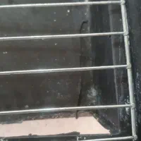 قفس پرنده|لوازم جانبی حیوانات|تهران, تهرانسر شمالی|دیوار