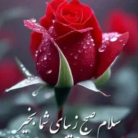 چای لاهیجان