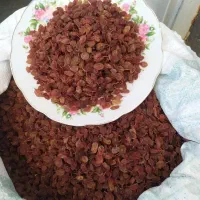 فروش کشمش باغ خودم با قیمت استثنایی