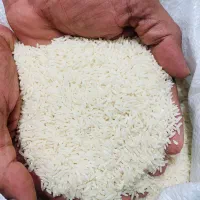 برنج هاشمی تازه محصول خودم در حمیدیان کیلویی۲۷۰|خوردنی و آشامیدنی|رشت, یخسازی|دیوار