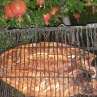 فروش ماهی قزل الا.|ماهی|نورآباد ممسنی, |دیوار