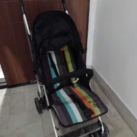 کالاسکه عصایی