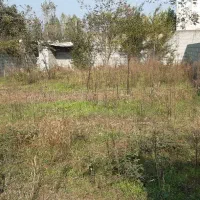 زمین چهار دیواری جاده آستارا|فروش زمین و ملک کلنگی|لوندویل, |دیوار