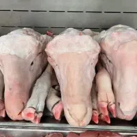 کله پاچه پاک شده