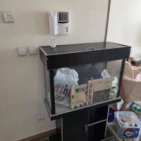 آکواریوم در حد نو