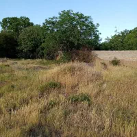 فروش-باغ-در-شبستر