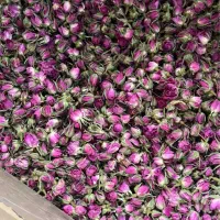 غنچه گل محمدی دارابی امسالی درجه ۱