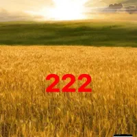 کارتون تمیز موزی