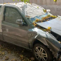 سمند تصادفی