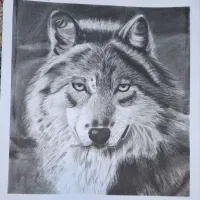 نقاشی سیاه قلم منظره با تکنیک کنته و ذغال|تابلو، نقاشی، عکس|مشهد, ایثارگران|دیوار