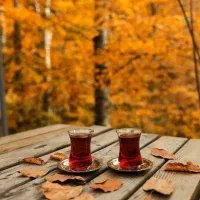 اجاره یک باب اپارتمان