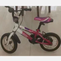 دوچرخه 12 تایوانی