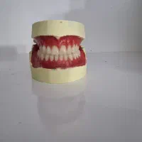 دندانسازی دیجیتال رضایی