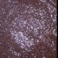 ترشی انار ملس