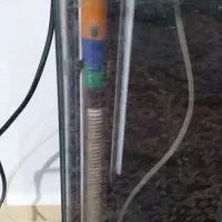 اکواریوم|ماهی|پاکدشت, پاکدشت (مامازند)|دیوار