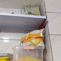 پت شاپ پرندگان ترینو ،جفت مولدوجوجه سری لاکی عروس|پرنده|فسا, |دیوار