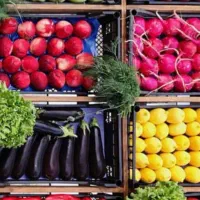 فروش و معاوضه زمین دهبکری