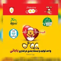 صندوقدار خانم