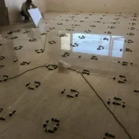 کاشی کاری
