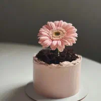 کیک ویژه روز مادر|خوردنی و آشامیدنی|اسلام‌شهر, شهرک مصطفی خمینی|دیوار