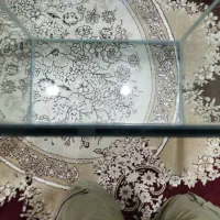 فروش اکواریوم|ماهی|نقده, |دیوار