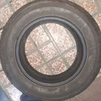 لاستیک نونو