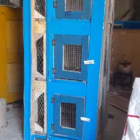 جفت کن کبوتر