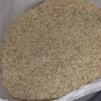 نخود فرنگی بسیار تمیز|خوردنی و آشامیدنی|کلاله, |دیوار