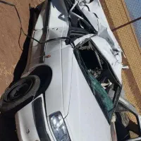 پارس تصادفی