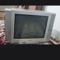 تلویزیون