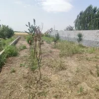 فروش زمین ۳۰۰ متری در قاسم‌آباد|فروش زمین و ملک کلنگی|تهران, قاسم‌آباد|دیوار