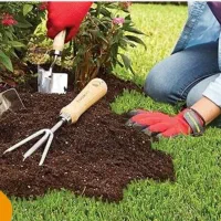 باغ و خانه باغ