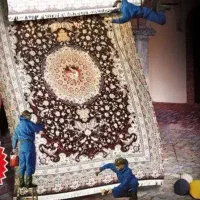 قالیشویی صدف|خدمات نظافت|دورود, |دیوار