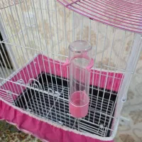 قفس و پایه قفس مدرن مناسب دکور خانه و پرنده|لوازم جانبی حیوانات|اهواز, سپیدار|دیوار