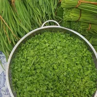 سس پیله|خوردنی و آشامیدنی|رشت, کوی مهر|دیوار