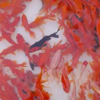 پخش عمده ماهی عمده|ماهی|قم, هنرستان|دیوار