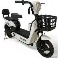 موتور برقی پاکشتی دونفره مارک E.BIKE قسطی بخر|دوچرخه، اسکیت، اسکوتر|اصفهان, بوستان ناژوان|دیوار