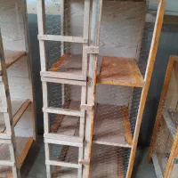 تولیدی/ جفت کن کبوتر/300 تومان|لوازم جانبی حیوانات|رشت, توشیبا|دیوار