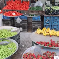 استخدام میوه فروش